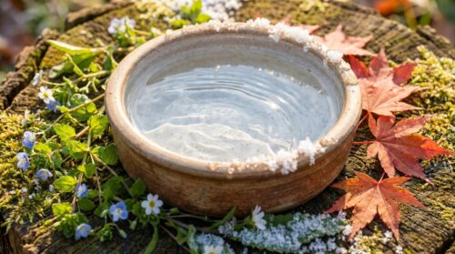 discover how seasonal changes affect your pet's hydration needs and why adjusting water dishes is essential to keep them healthy and hydrated year-round.